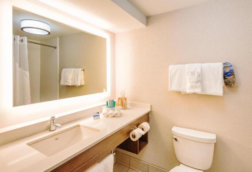 سوئیت با تخت بزرگ, Holiday Inn Express Charleston Us Highway 17 & I 526, An Ihg