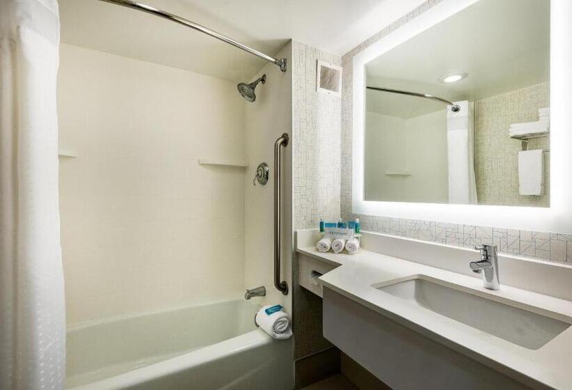 اتاق استاندارد با تخت بزرگ برای معلولان, Holiday Inn Express Flint Campus Area, An Ihg