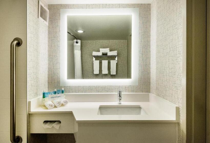 اتاق استاندارد با تخت بزرگ برای معلولان, Holiday Inn Express Flint Campus Area, An Ihg