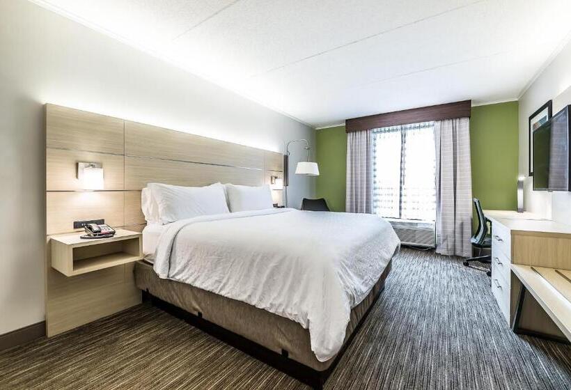 Habitación Estándar Cama King Adaptada para personas con movilidad reducida, Holiday Inn Express Flintcampus Area