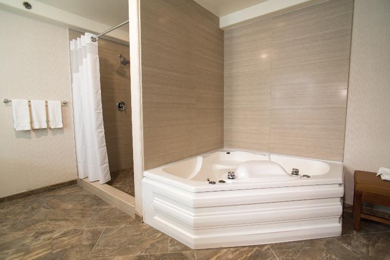 اتاق استاندارد با تخت بزرگ, Holiday Inn Express South Lake Tahoe, An Ihg