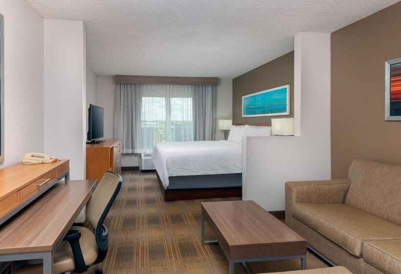 سوئیت با تخت بزرگ, Holiday Inn Miamidoral Area, An Ihg