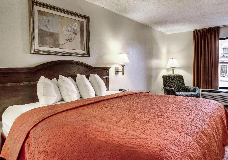 اتاق استاندارد با تخت بزرگ, Quality Inn & Suites