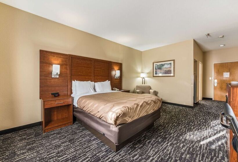 Standardzimmer Doppelbett (behindertengerecht), Quality Inn & Suites Hendersonville  Flat Rock