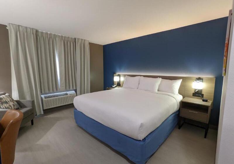 اتاق استاندارد با تخت بزرگ برای معلولان, Quality Inn & Suites
