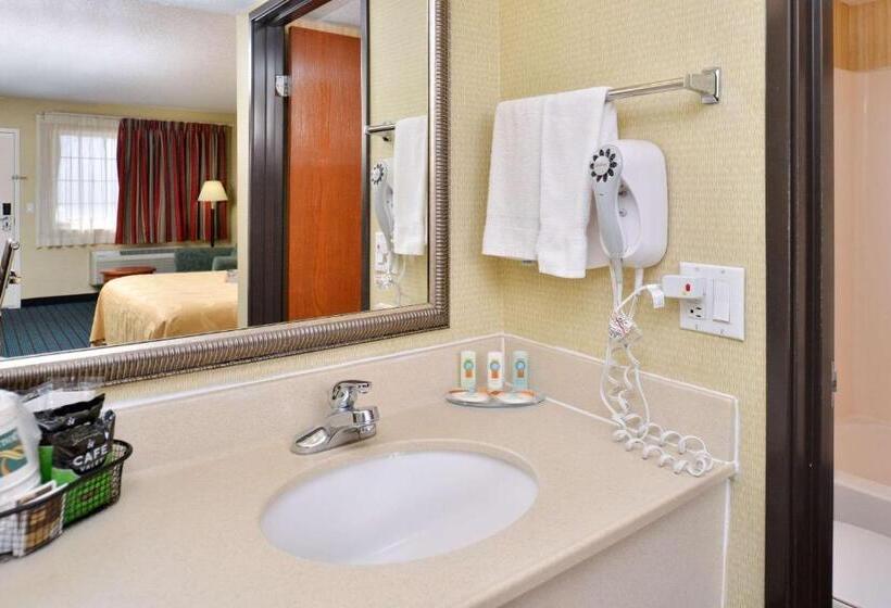 اتاق استاندارد با تخت بزرگ, Quality Inn Van Horn