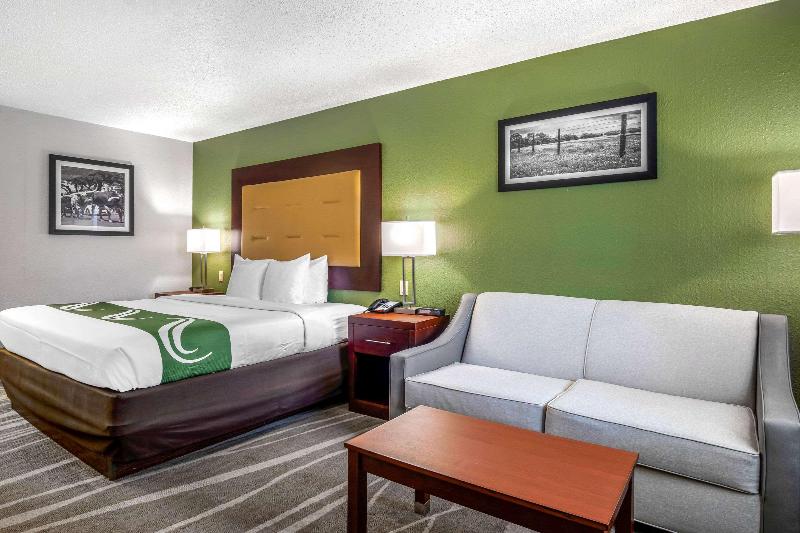 اتاق استاندارد با تخت بزرگ, Quality Inn & Suites
