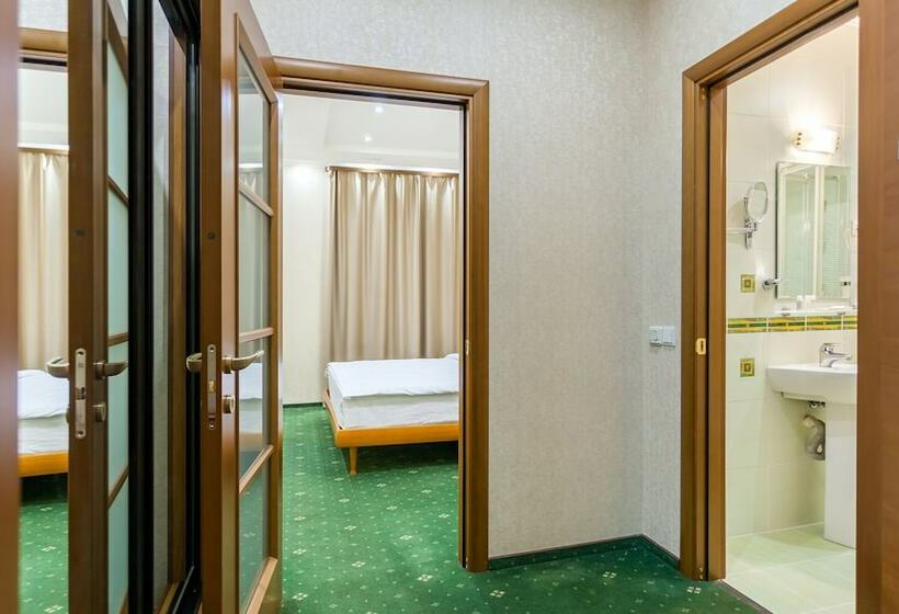 اتاق استاندارد با دسترسی به اسپا, Park  Sosnovy Bor