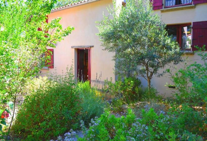 اتاق خانوادگی, Maison De La Vigne