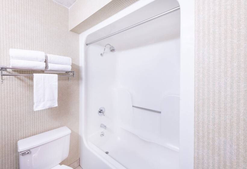 اتاق استاندارد با 2 تخت دوبل, Aviator Hotel & Suites South I 55, Bw Signature Collection