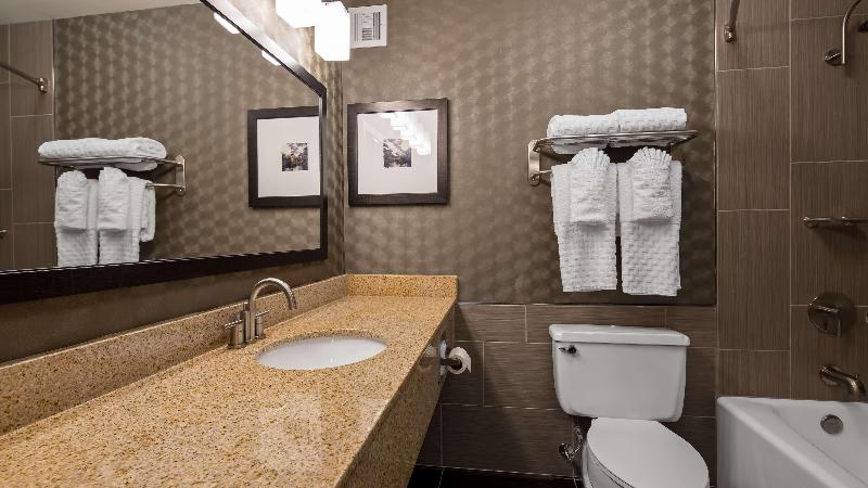 اتاق استاندارد با تخت بزرگ, Best Western Premier Airport/expo Center