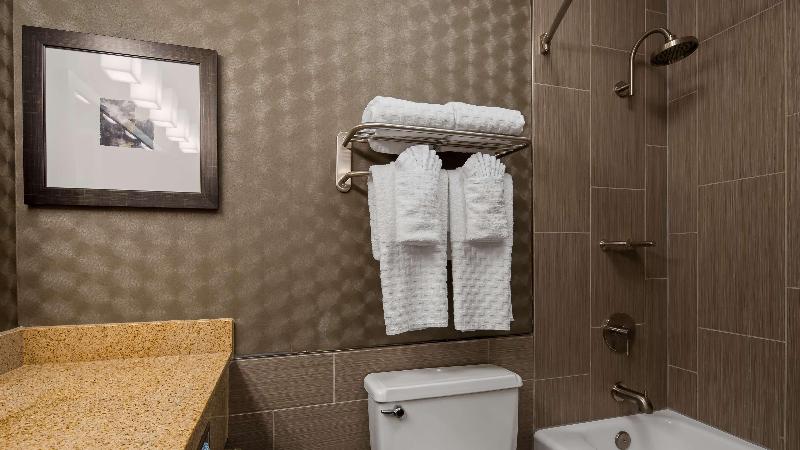 اتاق استاندارد با تخت بزرگ, Best Western Premier Airport/expo Center