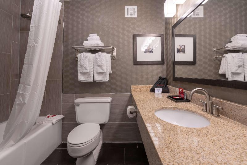 اتاق استاندارد با تخت بزرگ, Best Western Premier Airport/expo Center
