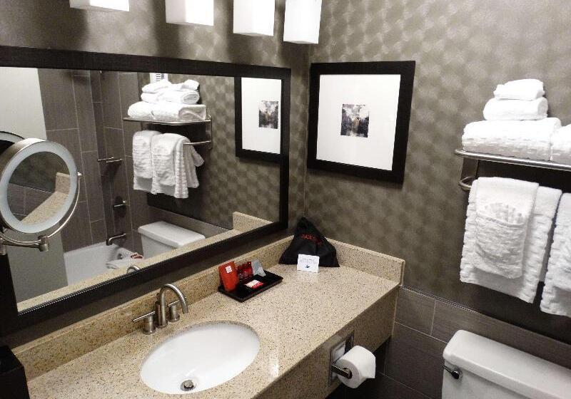 اتاق استاندارد با تخت بزرگ, Best Western Premier Airport/expo Center