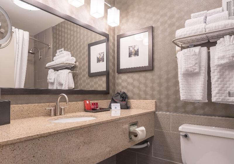 اتاق استاندارد با تخت بزرگ, Best Western Premier Airport/expo Center