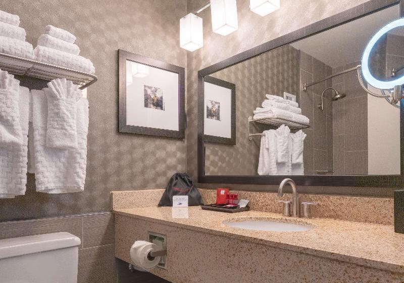 اتاق استاندارد با تخت بزرگ, Best Western Premier Airport/expo Center