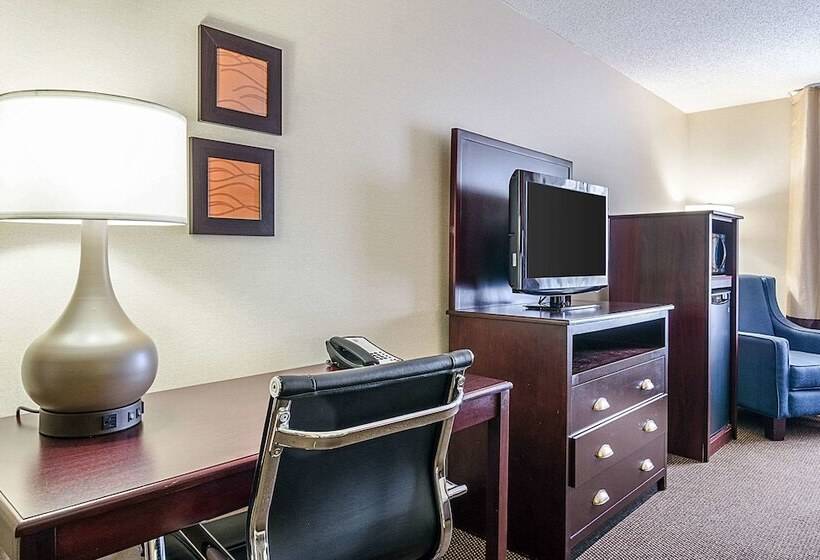 اتاق استاندارد با تخت دوبل, Comfort Inn & Suites