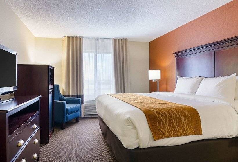 اتاق استاندارد با تخت دوبل برای معلولان, Comfort Inn & Suites