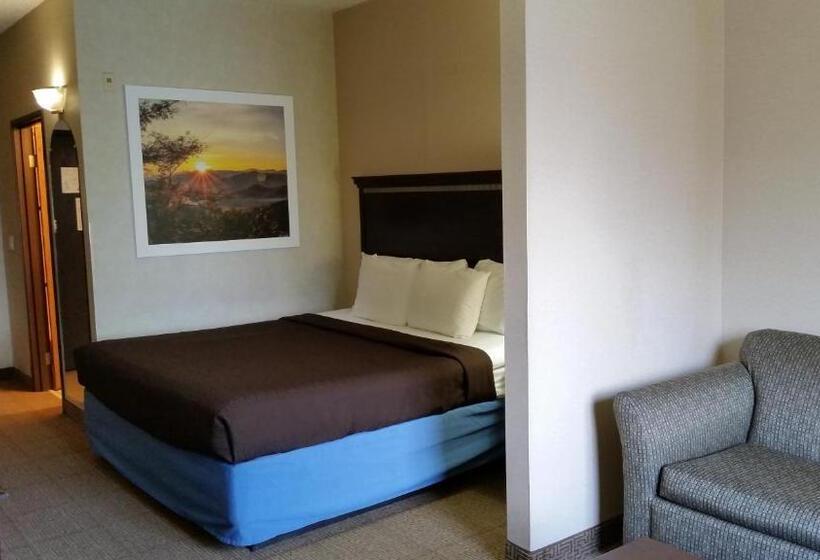 Suite King Bed, Days Inn & Suites By Wyndham Vancouver