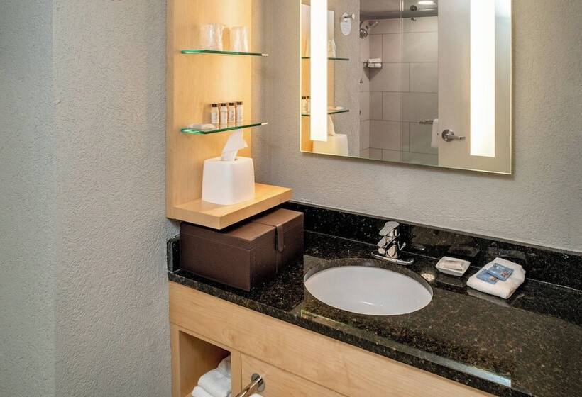 سوئیت پرزیدنت, Delta Hotels By Marriott Huntington Downtown