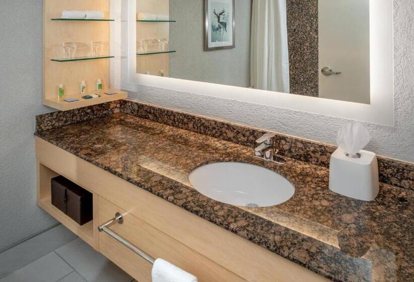 اتاق استاندارد با تخت بزرگ, Delta Hotels By Marriott Huntington Downtown