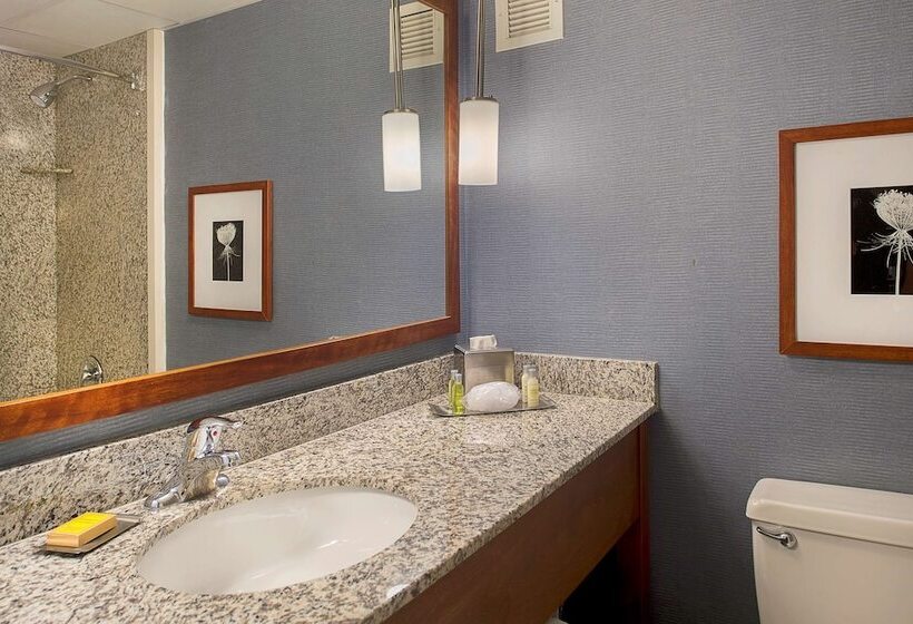 Quarto Estandar para Deficientes Físicos, Doubletree  St. Louis At Westport