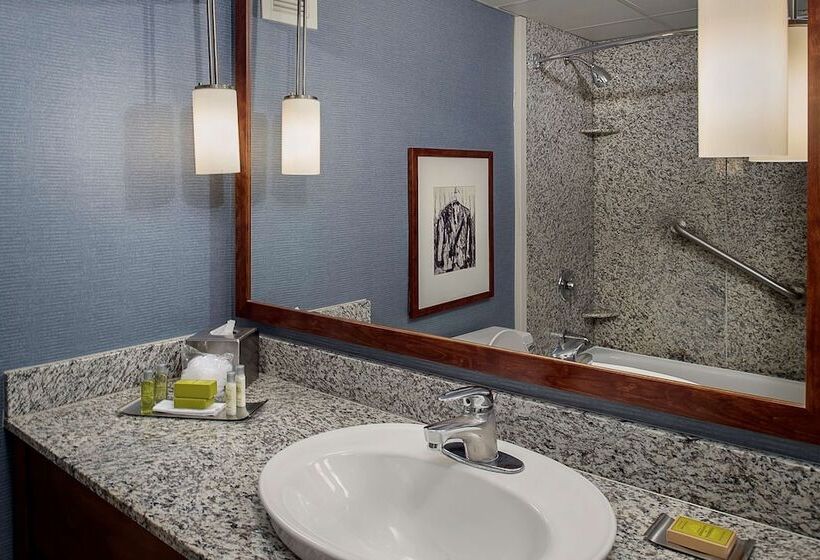 Quarto Estandar para Deficientes Físicos, Doubletree  St. Louis At Westport