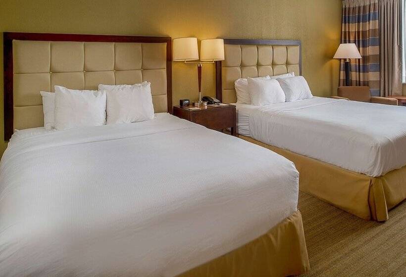 اتاق استاندارد برای معلولان, Doubletree By Hilton St. Louis   Westport
