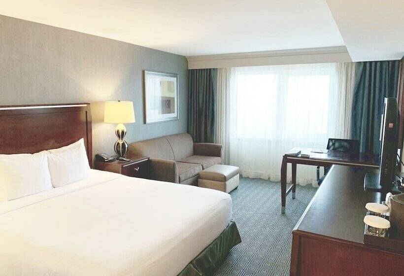 이그제큐티브 룸, Hilton New York Jfk Airport