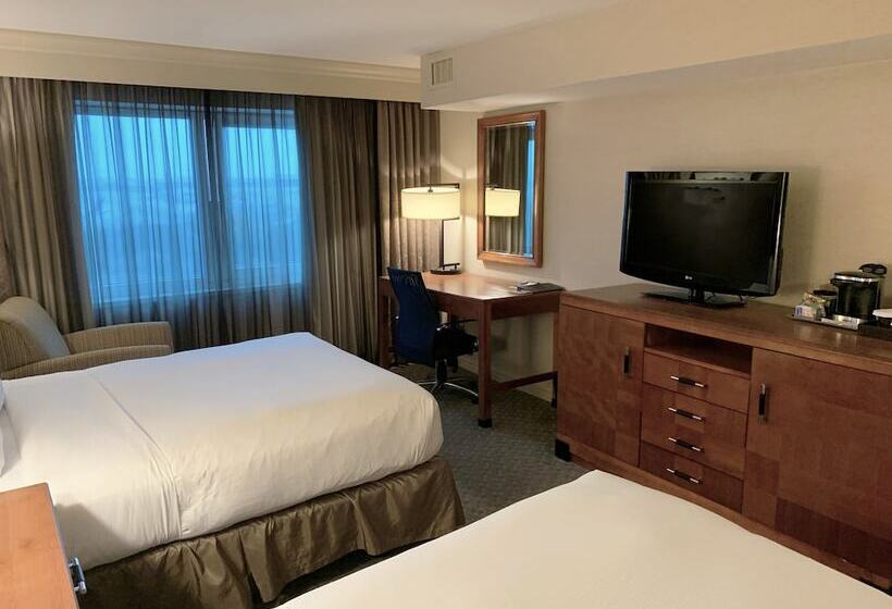 Executive Room, Hilton New York Jfk Airport