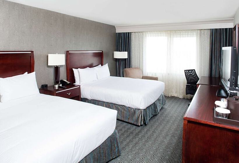 Executive Room, Hilton New York Jfk Airport