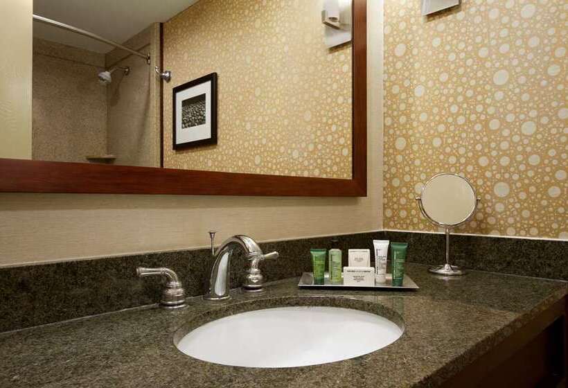 اتاق اجرایی, Hilton New York Jfk Airport