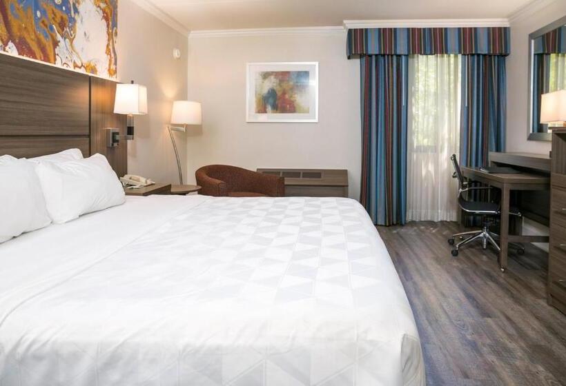 اتاق اجرایی با تخت بزرگ, Holiday Inn   Executive Center Columbia Mall, An Ihg