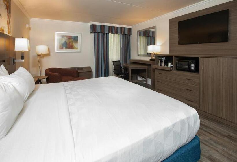 Standard Room King Bed Adapted for people with reduced mobility, Holiday Inn Executive Center Columbia Mall