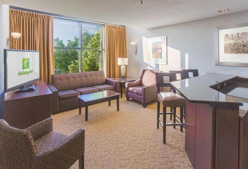 전망 스위트, Holiday Inn Executive Center Columbia Mall