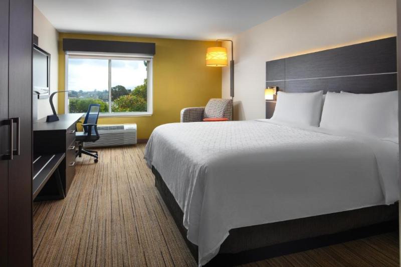 Suite King Bed, Holiday Inn Express  & Suites Belmont