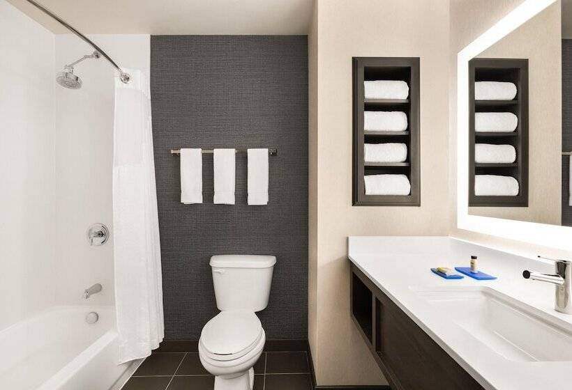 سوییت, Holiday Inn Express & Suites Denver Airport, An Ihg