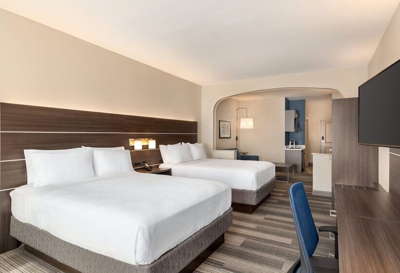 Suite, Holiday Inn Express  & Suites Denver Airport