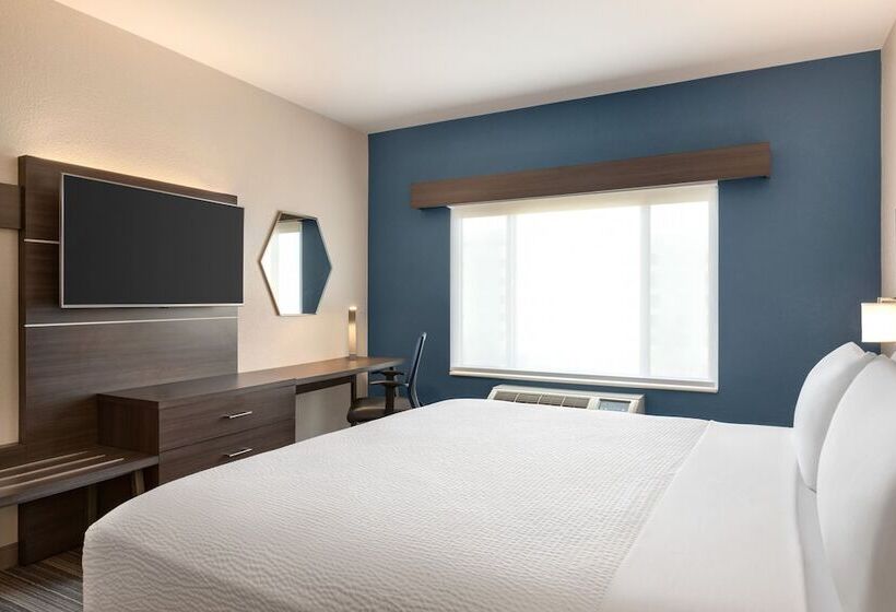 Suite, Holiday Inn Express  & Suites Denver Airport