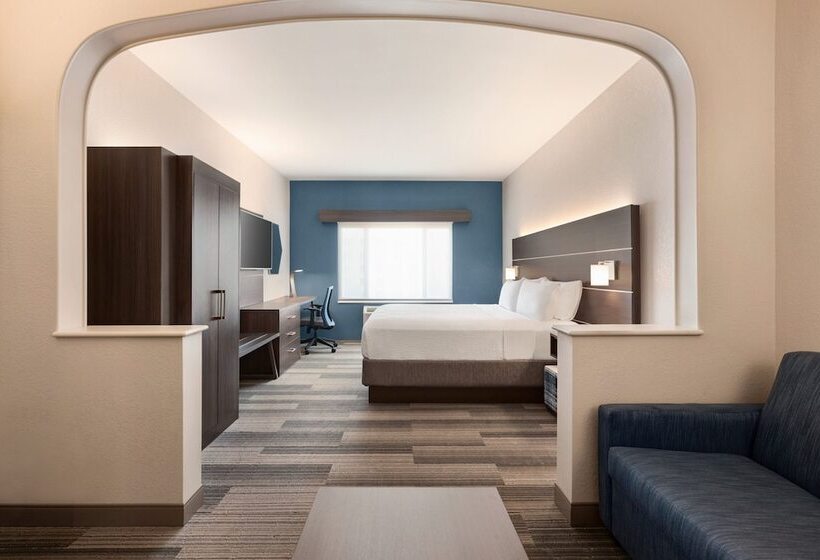 Suite, Holiday Inn Express  & Suites Denver Airport