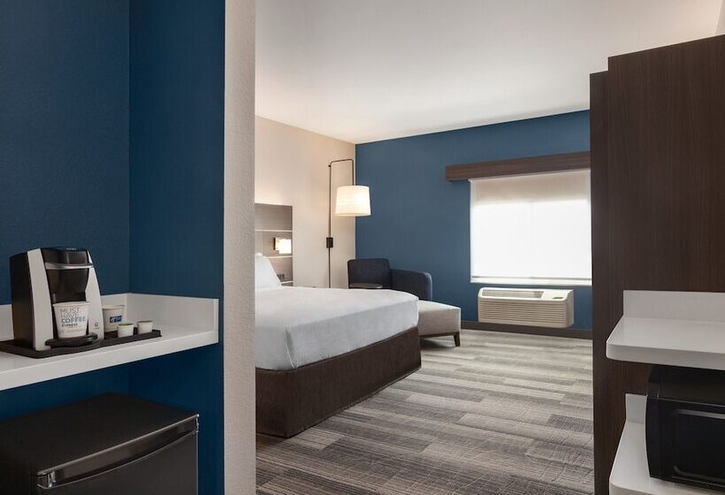 Standard Room, Holiday Inn Express  & Suites Denver Airport