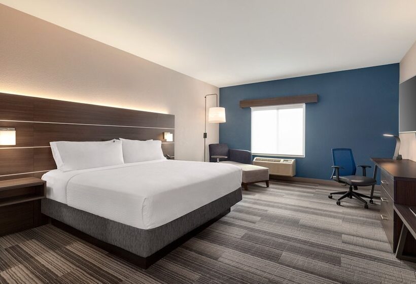 Standard Room, Holiday Inn Express  & Suites Denver Airport