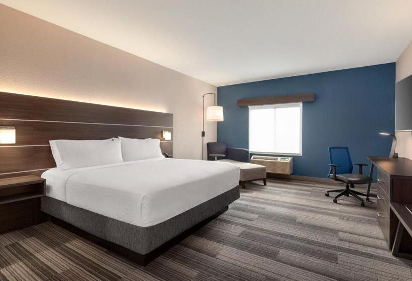 キングサイズベッドのスタンダードルーム, Holiday Inn Express  & Suites Denver Airport