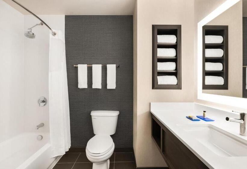 اتاق استاندارد با تخت بزرگ, Holiday Inn Express & Suites Denver Airport, An Ihg