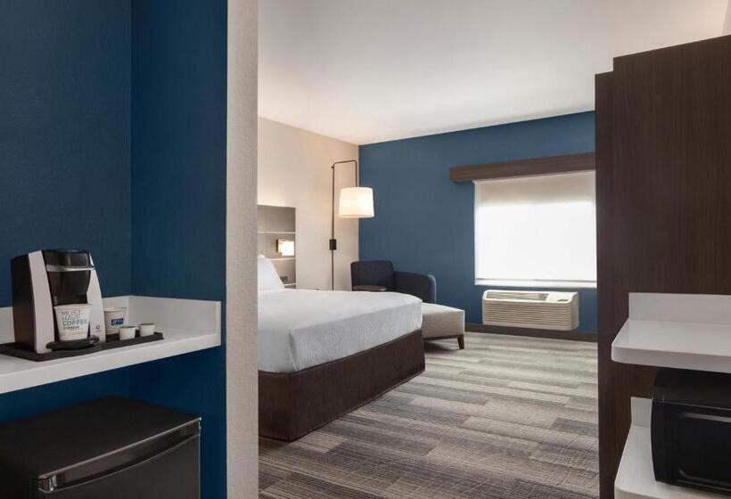 キングサイズベッドのスタンダードルーム, Holiday Inn Express  & Suites Denver Airport