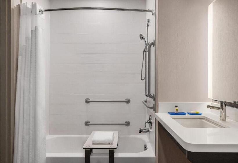 Habitación Estándar Cama King Adaptada para personas con movilidad reducida, Holiday Inn Express  & Suites Denver Airport