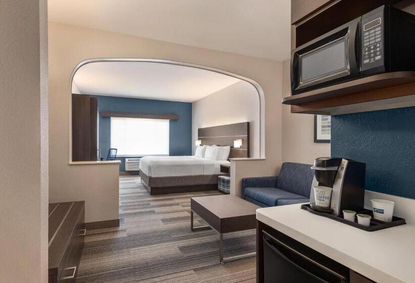 اتاق استاندارد با تخت بزرگ برای معلولان, Holiday Inn Express & Suites Denver Airport, An Ihg