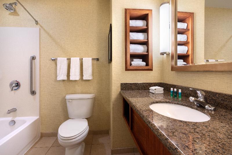 اتاق استاندارد با تخت بزرگ, Holiday Inn Express & Suites Denver Airport, An Ihg
