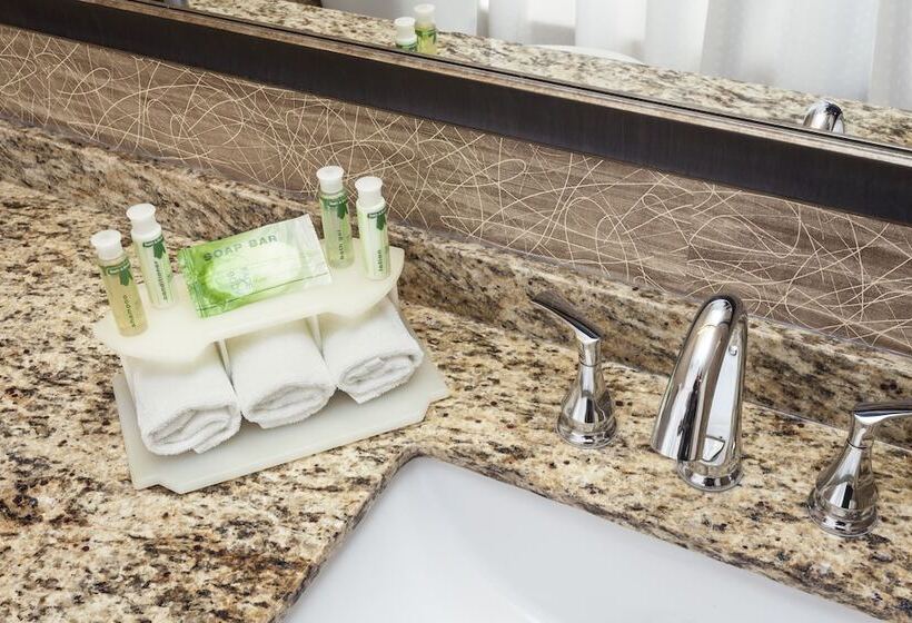 اتاق استاندارد برای معلولان, Holiday Inn Express Anchorage By Ihg