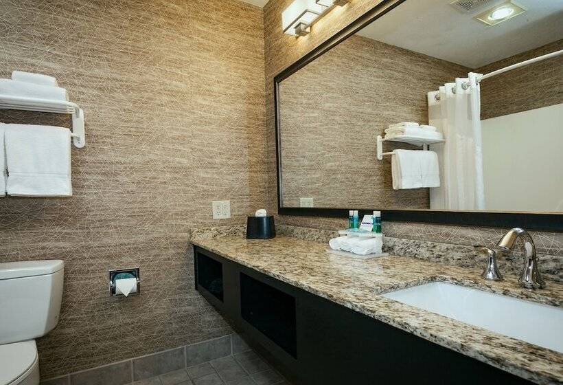 اتاق استاندارد, Holiday Inn Express Anchorage By Ihg